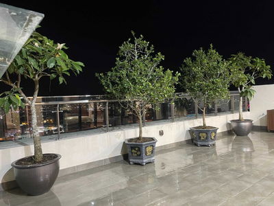 Hilton Hai Phong, Vietnam Hilton Hai Phong, Vietnam