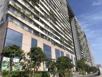 Diamond Lotus Phuc Khang, Vietnam Diamond Lotus Phuc Khang, Vietnam