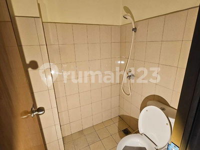 TIFOLIA, Indonesia  TIFOLIA, Indonesia