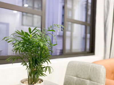 CityLand Park Hills, Vietnam CityLand Park Hills, Vietnam