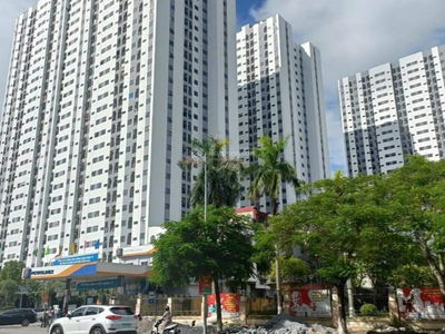 Golden Land 5 Golden Land 5