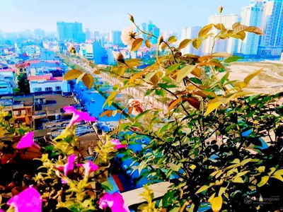 Building, Vietnam  Building, Vietnam