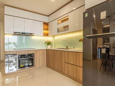 The Golden Armor, Vietnam The Golden Armor, Vietnam