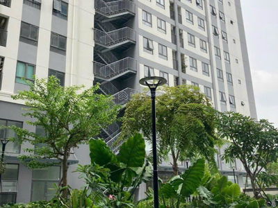 Saigon Intela, Vietnam Saigon Intela, Vietnam