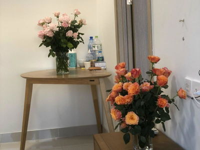 The Sun Avenue, Vietnam The Sun Avenue, Vietnam