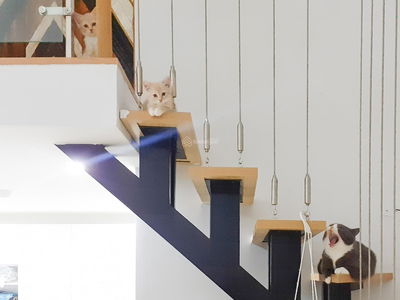 The Astoria, Vietnam The Astoria, Vietnam