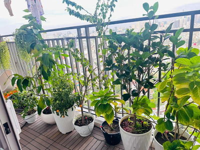 Sunrise City View, Vietnam Sunrise City View, Vietnam