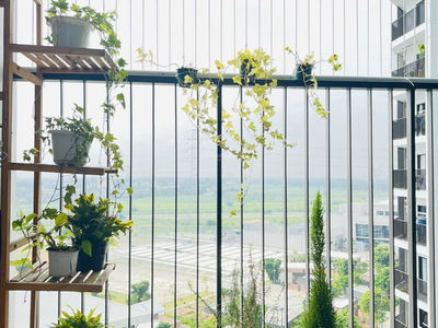 Sora Gardens 2, Vietnam Sora Gardens 2, Vietnam