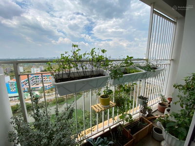 The Krista, Vietnam The Krista, Vietnam