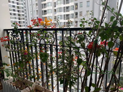 Sunshine Garden, Vietnam  Sunshine Garden, Vietnam