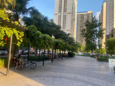 Apartment, Vietnam Apartment, Vietnam