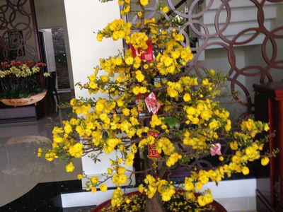 Him Lam Kenh Te, Vietnam Him Lam Kenh Te, Vietnam