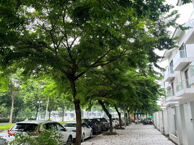 Duong Noi New Urban Area, Vietnam Duong Noi New Urban Area, Vietnam