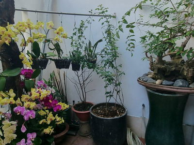 Street No. 4, Vietnam Street No. 4, Vietnam