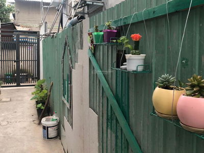 11/17, Vietnam 11/17, Vietnam