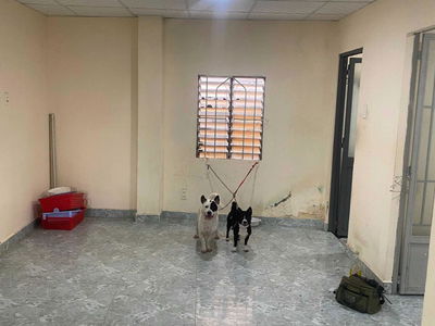 Au Duong Lan Street, Vietnam  Au Duong Lan Street, Vietnam