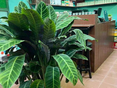 An Dong Cong Truong Street, Vietnam An Dong Cong Truong Street, Vietnam