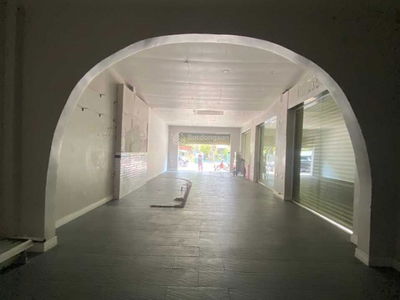 81, Vietnam 81, Vietnam