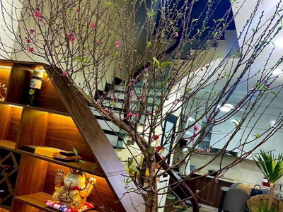 Thach Ban Street, Vietnam  Thach Ban Street, Vietnam