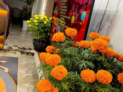 Thach Ban Street, Vietnam Thach Ban Street, Vietnam