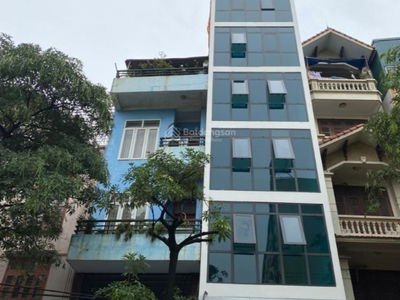 Quang Trung Street, Vietnam Quang Trung Street, Vietnam