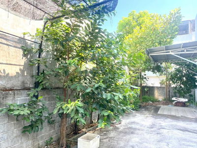 Dien Hong Street, Vietnam Dien Hong Street, Vietnam