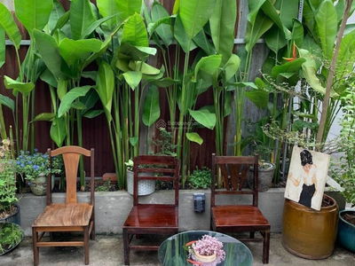 16C, Vietnam 16C, Vietnam