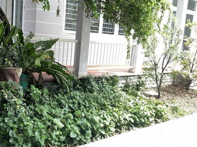 Hiep Binh Chanh Ward, Vietnam Hiep Binh Chanh Ward, Vietnam