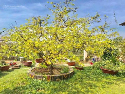 Thoi Hoa Ward, Vietnam Thoi Hoa Ward, Vietnam