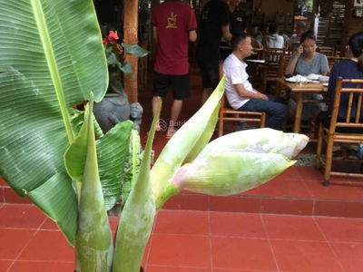 Binh Trung Tay Ward, Vietnam Binh Trung Tay Ward, Vietnam