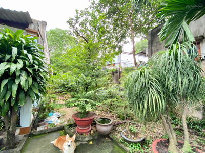 Linh Trung Ward, Vietnam Linh Trung Ward, Vietnam