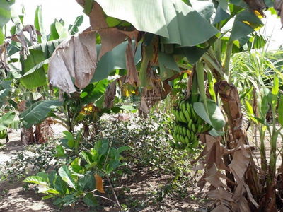 Hung Vuong Street, Vietnam Hung Vuong Street, Vietnam