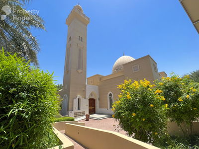 Aseel, United Arab Emirates  Aseel, United Arab Emirates
