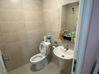 Saigon Intela - Terra Mia, Vietnam Saigon Intela - Terra Mia, Vietnam