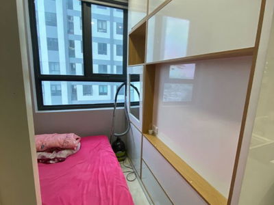 Saigon Intela - Terra Mia, Vietnam Saigon Intela - Terra Mia, Vietnam