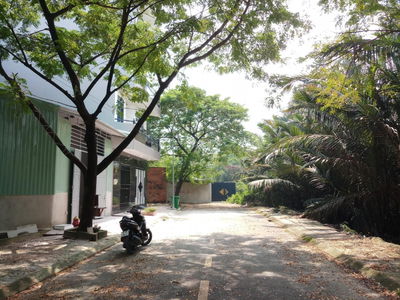 713/19, Vietnam 713/19, Vietnam