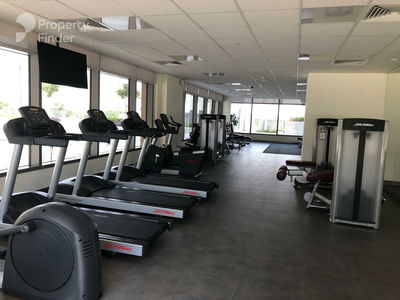 Mulberry, United Arab Emirates  Mulberry, United Arab Emirates