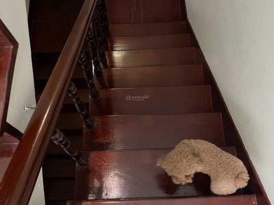 17 Alley 20, Vietnam 17 Alley 20, Vietnam