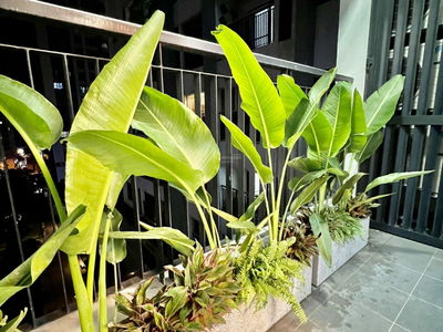 Goldmark City, Vietnam Goldmark City, Vietnam