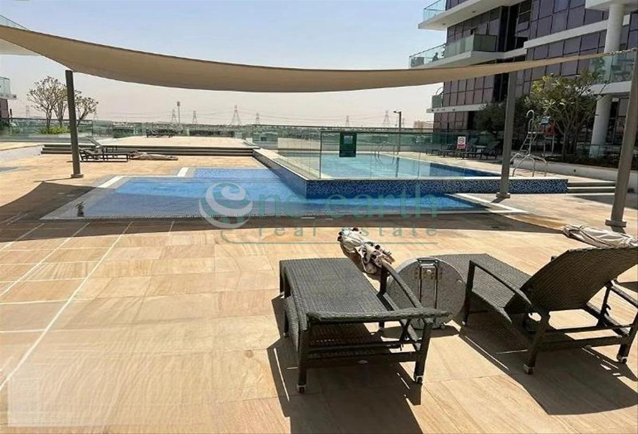 Orchid A, United Arab Emirates Orchid A, United Arab Emirates