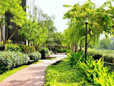 Mulberry Lane, Vietnam Mulberry Lane, Vietnam