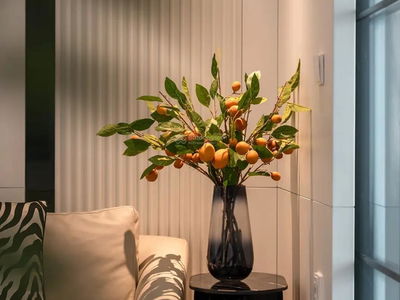 Linh Dam Urban Area, Vietnam Linh Dam Urban Area, Vietnam