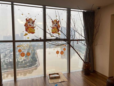 Thang Long Number One, Vietnam Thang Long Number One, Vietnam