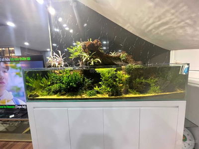 Mipec Rubik 360, Vietnam Mipec Rubik 360, Vietnam