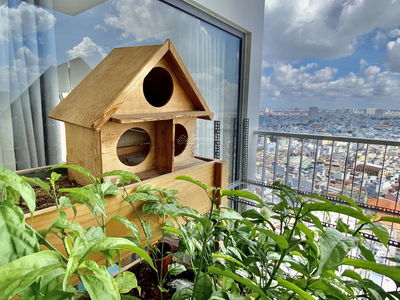 Viva Riverside, Vietnam Viva Riverside, Vietnam