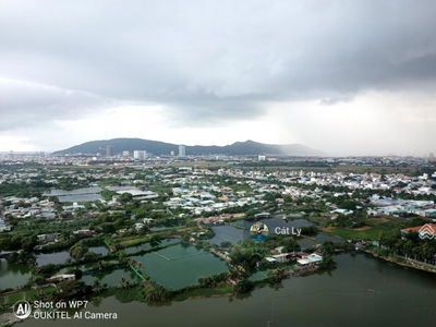 Dic Phoenix, Vietnam Dic Phoenix, Vietnam