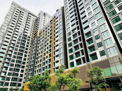 Of The Sun, Vietnam Of The Sun, Vietnam