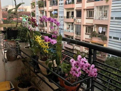 C8 Street, Vietnam C8 Street, Vietnam