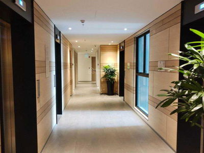 Zenith, Vietnam  Zenith, Vietnam