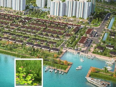 Waterpoint, Vietnam  Waterpoint, Vietnam